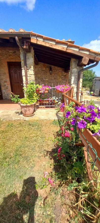 Agriturismo La Casina Saturnia Dış mekan fotoğraf